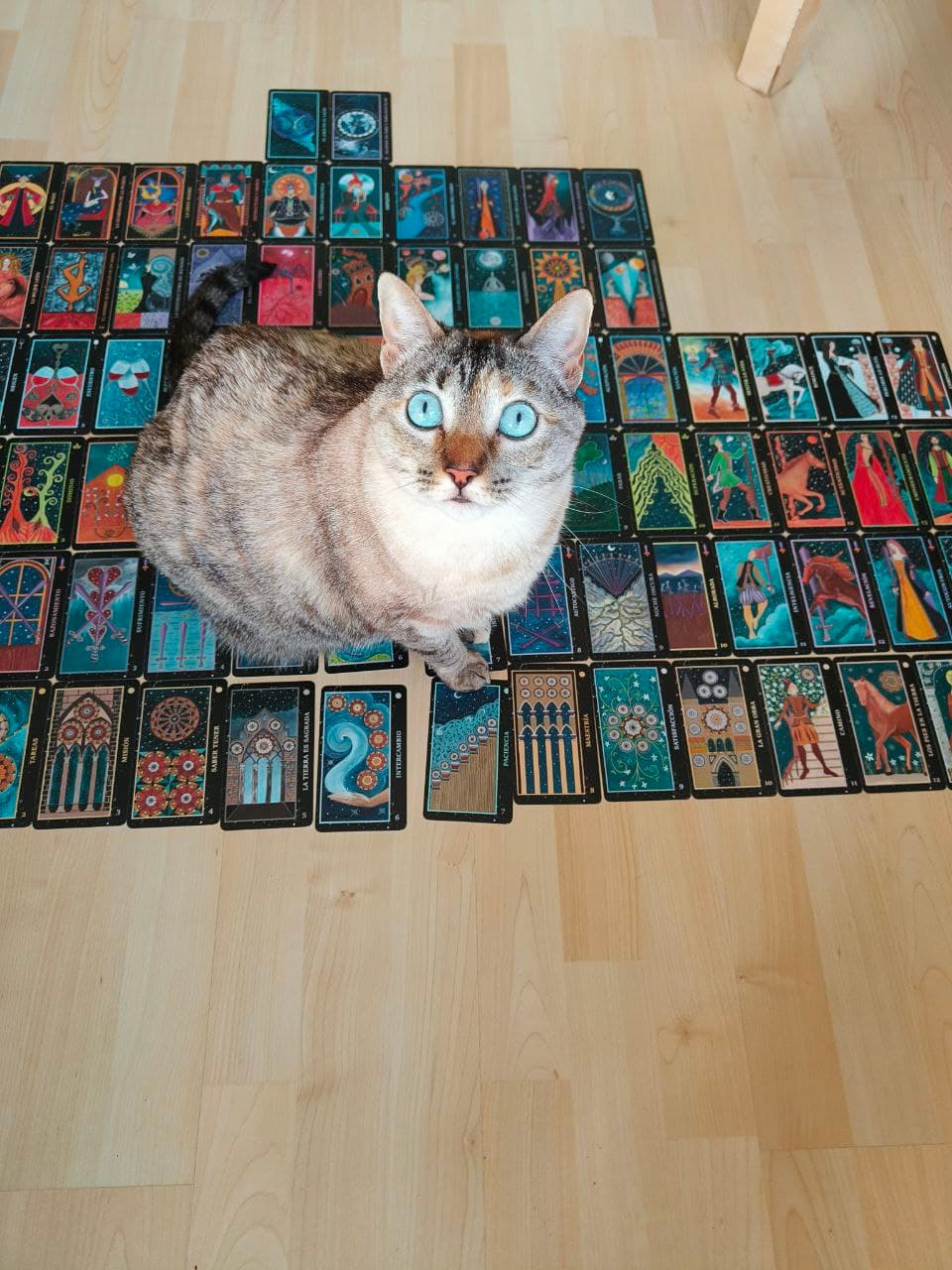 Colección de cartas artísticas